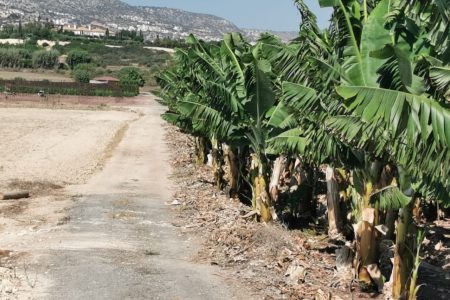For Sale: Agricultural land, Sea Caves Pegeia, Paphos, Cyprus FC-34126 - #1