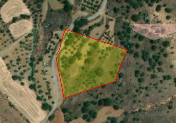 For Sale: Agricultural land, Klirou, Nicosia, Cyprus FC-34277 - #1 For Sale: Agricultural land, Klirou, Nicosia, Cyprus FC-34277 - #1