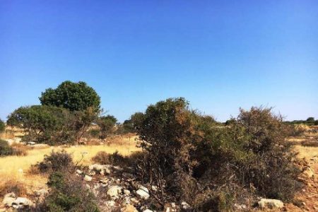 For Sale: Agricultural land, Pachna, Limassol, Cyprus FC-34418 - #1