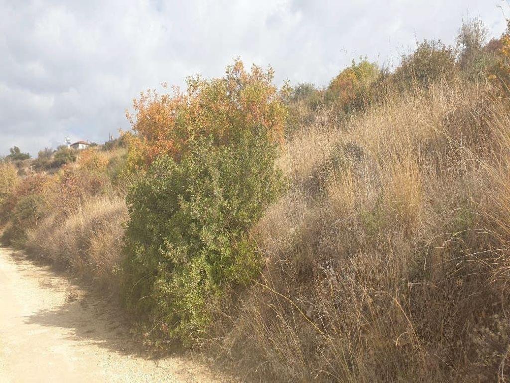 For Sale: Residential land, Agios Amvrosios, Limassol, Cyprus FC-34422 - #1