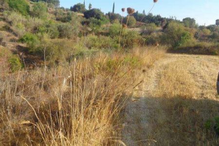 For Sale: Agricultural land, Polemi, Paphos, Cyprus FC-35230