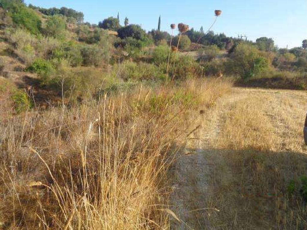 For Sale: Agricultural land, Polemi, Paphos, Cyprus FC-35230 - #1 For Sale: Agricultural land, Polemi, Paphos, Cyprus FC-35230 - #1