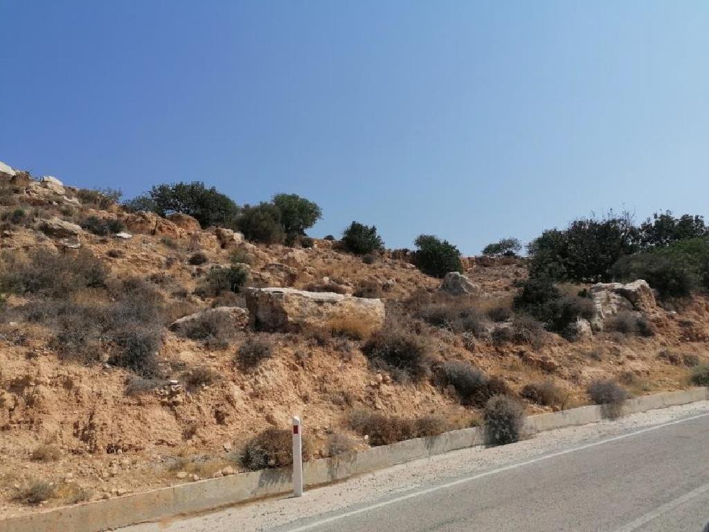 For Sale: Agricultural land, Pegeia, Paphos, Cyprus FC-35232 - #2 For Sale: Agricultural land, Pegeia, Paphos, Cyprus FC-35232 - #2