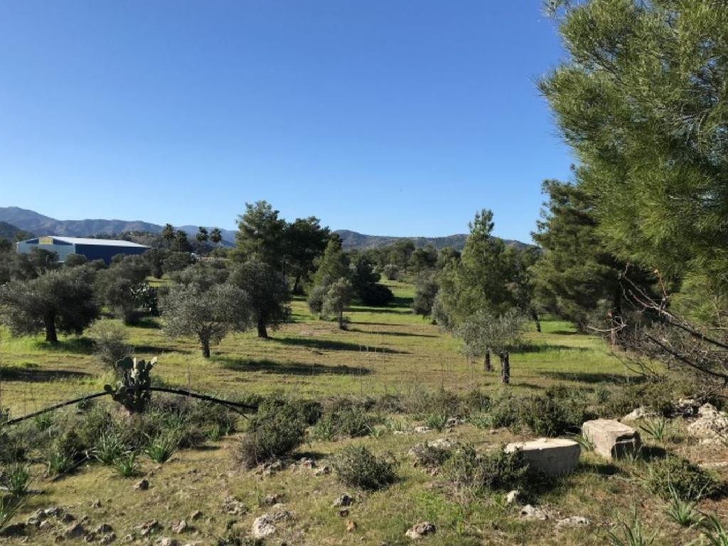 For Sale: Agricultural land, Lythrodontas, Nicosia, Cyprus FC-35329 - #2 For Sale: Agricultural land, Lythrodontas, Nicosia, Cyprus FC-35329 - #2