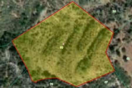 For Sale: Agricultural land, Ora, Larnaca, Cyprus FC-35509 - #1