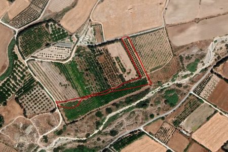 For Sale: Agricultural land, Acheleia, Paphos, Cyprus FC-35580