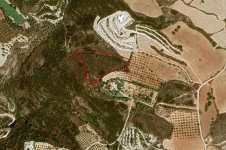For Sale: Agricultural land, Armou, Paphos, Cyprus FC-35786