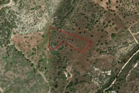 For Sale: Agricultural land, Neo Chorio, Paphos, Cyprus FC-35985