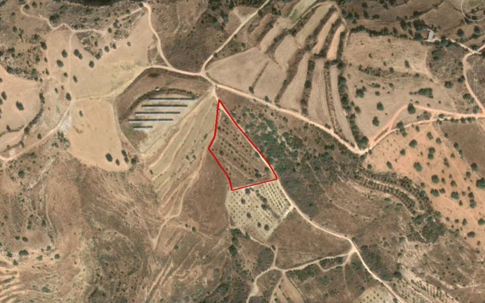 For Sale: Agricultural land, Tala, Paphos, Cyprus FC-36041 - #1 For Sale: Agricultural land, Tala, Paphos, Cyprus FC-36041 - #1