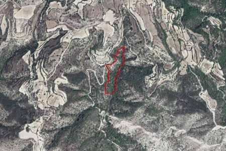 For Sale: Agricultural land, Amargeti, Paphos, Cyprus FC-36065
