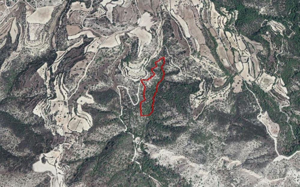 For Sale: Agricultural land, Amargeti, Paphos, Cyprus FC-36065 - #1 For Sale: Agricultural land, Amargeti, Paphos, Cyprus FC-36065 - #1