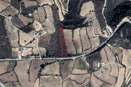 For Sale: Agricultural land, Kathikas, Paphos, Cyprus FC-36066