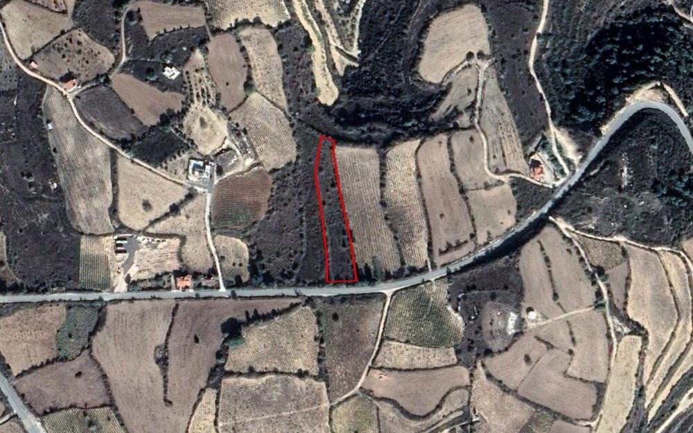 For Sale: Agricultural land, Kathikas, Paphos, Cyprus FC-36066 - #1 For Sale: Agricultural land, Kathikas, Paphos, Cyprus FC-36066 - #1