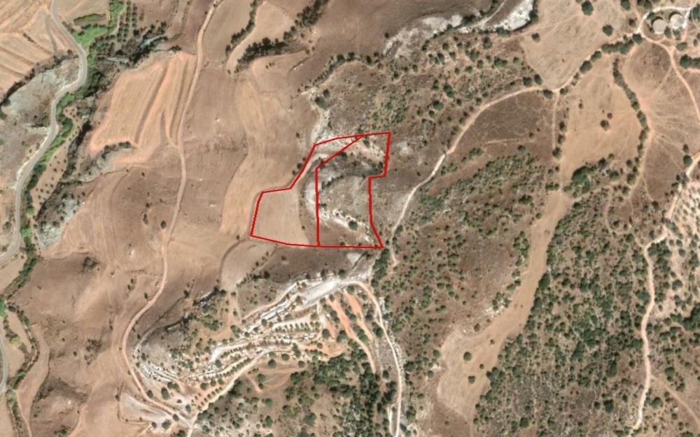 For Sale: Agricultural land, Nata, Paphos, Cyprus FC-36085 - #1 For Sale: Agricultural land, Nata, Paphos, Cyprus FC-36085 - #1