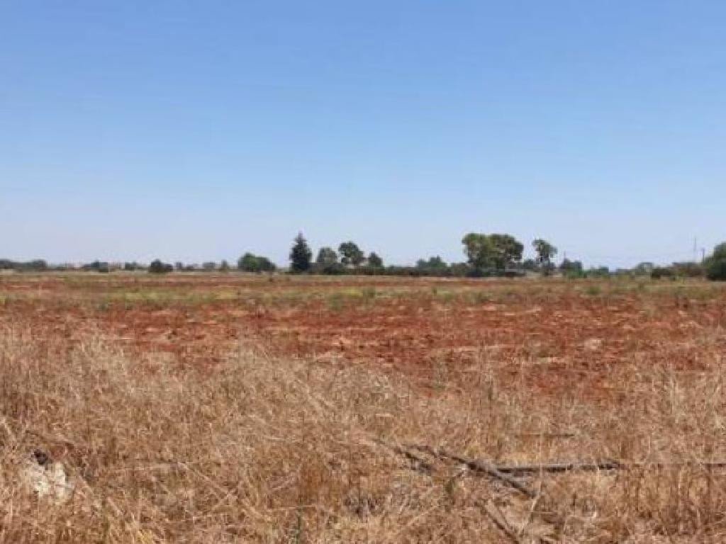 For Sale: Residential land, Liopetri, Famagusta, Cyprus FC-36428 - #2 For Sale: Residential land, Liopetri, Famagusta, Cyprus FC-36428 - #2