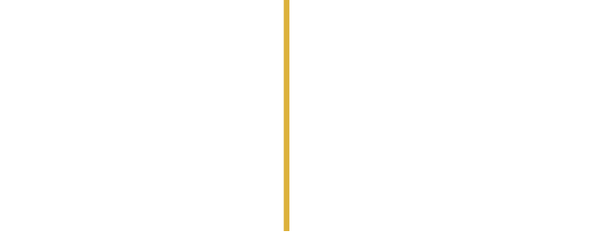 Vassos Markides Estates Ltd