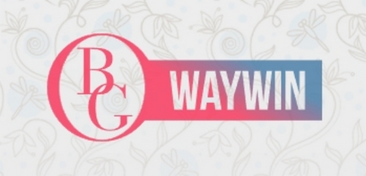 BG WAYWIN Business Group