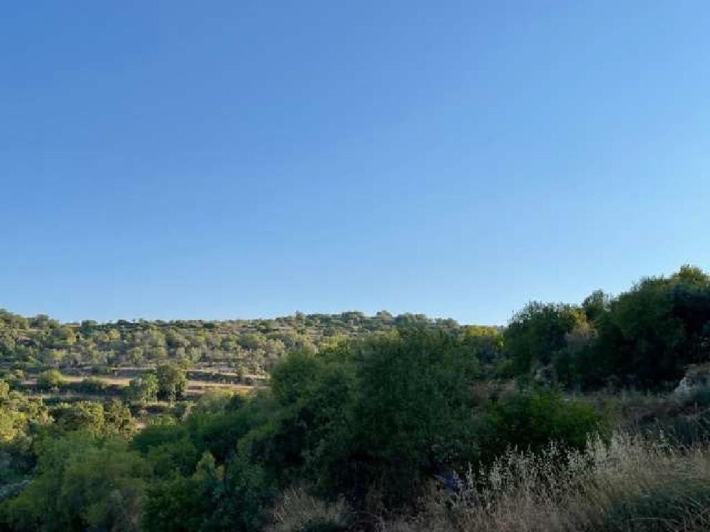 For Sale: Agricultural land, Kritou Tera, Paphos, Cyprus FC-37084 - #2 For Sale: Agricultural land, Kritou Tera, Paphos, Cyprus FC-37084 - #2