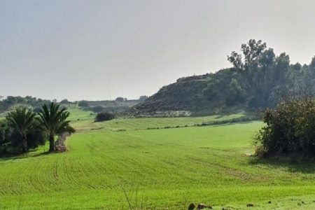 For Sale: Agricultural land, Avgorou, Famagusta, Cyprus FC-37215