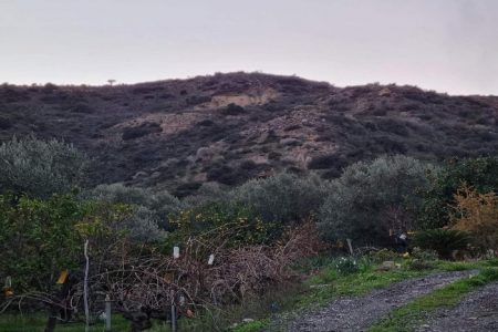 For Sale: Agricultural land, Pissouri, Limassol, Cyprus FC-37281 - #1