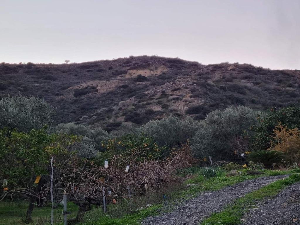For Sale: Agricultural land, Pissouri, Limassol, Cyprus FC-37281 - #1 For Sale: Agricultural land, Pissouri, Limassol, Cyprus FC-37281 - #1