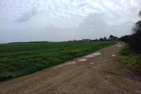 For Sale: Agricultural land, Avgorou, Famagusta, Cyprus FC-37460