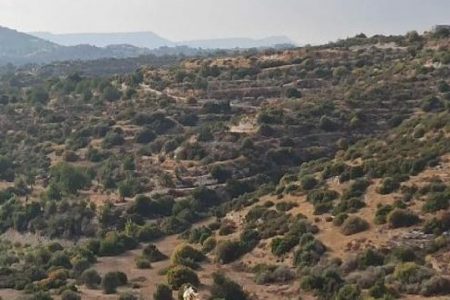 For Sale: Agricultural land, Apesia, Limassol, Cyprus FC-37522