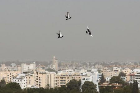Flats push up property prices