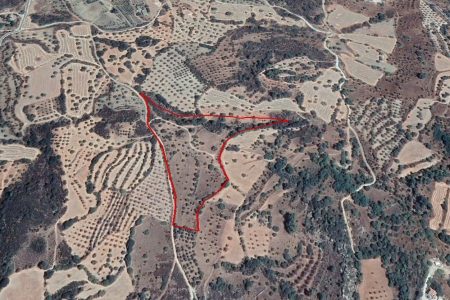 For Sale: Agricultural land, Meladia, Paphos, Cyprus FC-39380 - #1