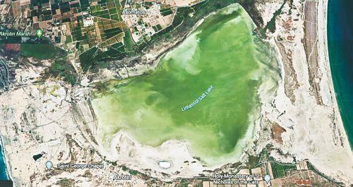 Major ecological disaster in the Akrotiri Salt Lake