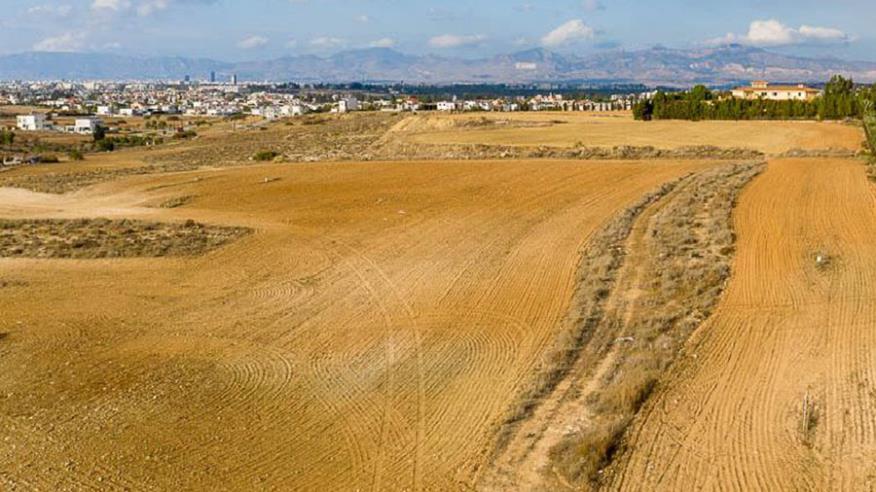 Plots and fields drive the Cyprus the real estate market