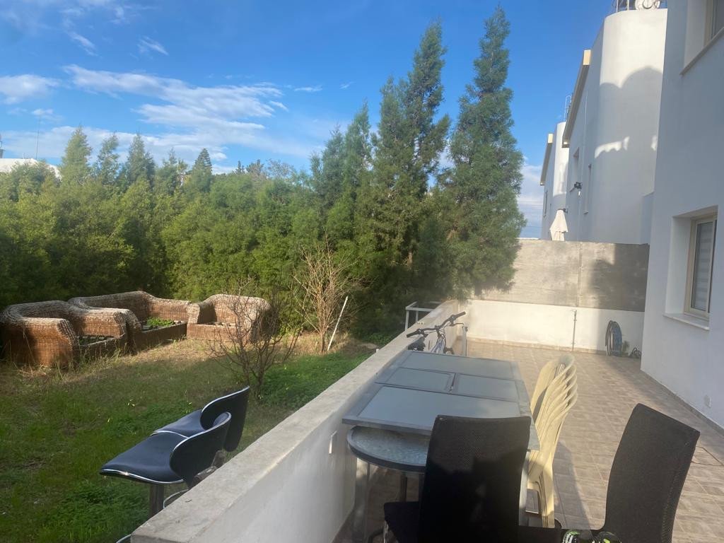 For Sale: Detached house, Kapparis, Famagusta, Cyprus FC-42979 - #11