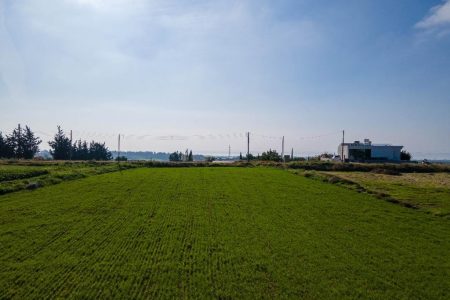 For Sale: Residential land, Anarita, Paphos, Cyprus FC-46188