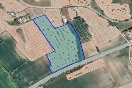 For Sale: Agricultural land, Mazotos, Larnaca, Cyprus FC-47339