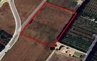 For Sale: Agricultural land, Geroskipou, Paphos, Cyprus FC-49197