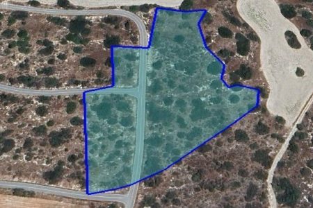 For Sale: Agricultural land, Pyrgos, Limassol, Cyprus FC-50146 - #1