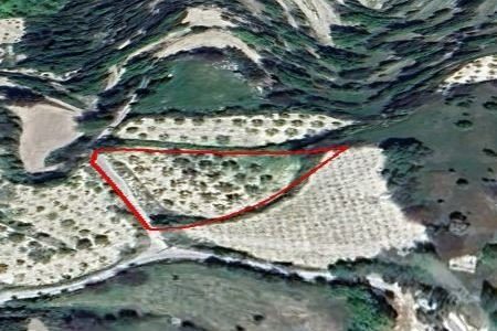 For Sale: Residential land, Koili, Paphos, Cyprus FC-50207