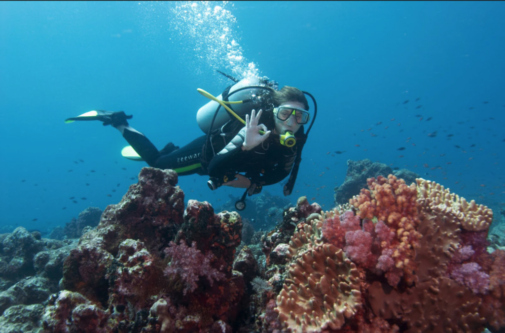 Diving in Cyprus