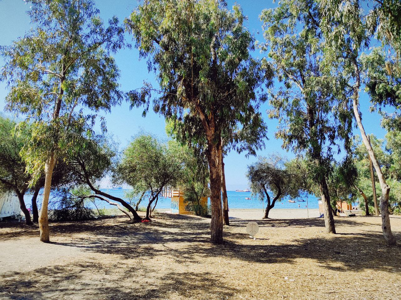 A Walk Through Dasoudi Park in Limassol