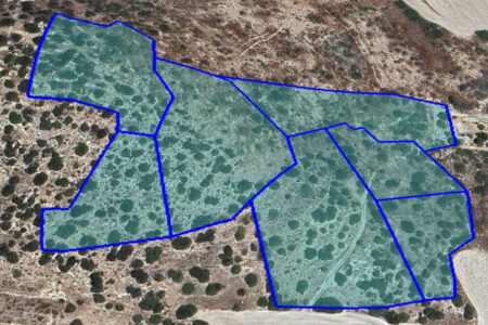 For Sale: Agricultural land, Pyrgos, Limassol, Cyprus FC-53556