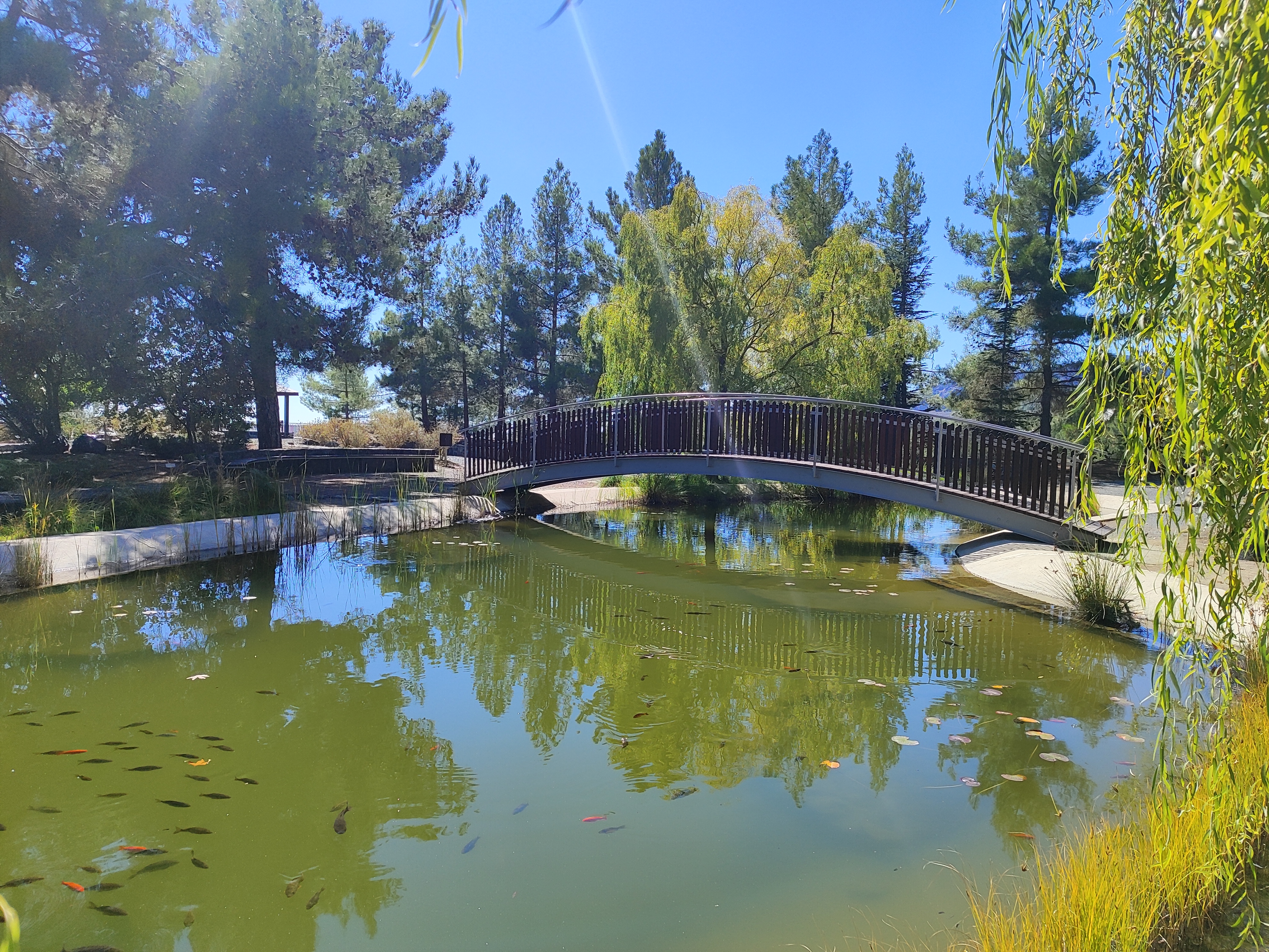 A Walk through the “A.G. Leventis” Botanical Garden in Troodos