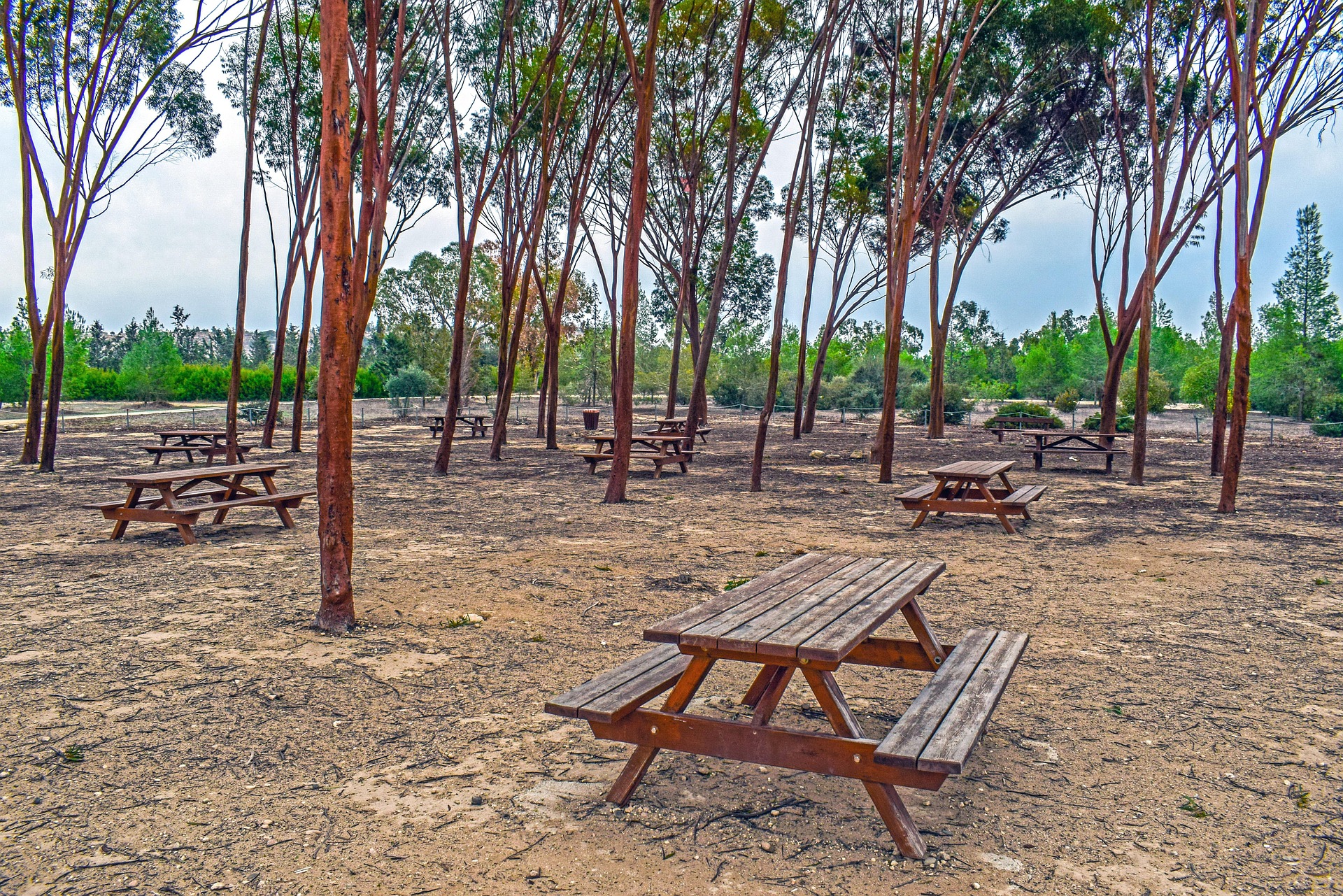 Athalassa National Forest Park in Nicosia