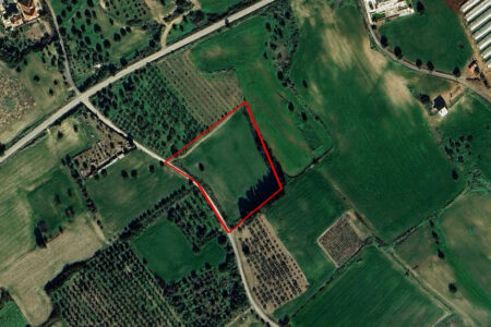 For Sale: Agricultural land, Mazotos, Larnaca, Cyprus FC-57460