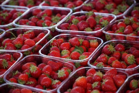 Strawberry Festival in Paralimni–Deryneia