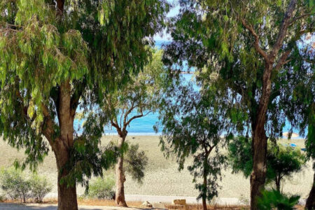 For Sale: Apartments, Posidonia Area, Limassol, Cyprus FC-58280