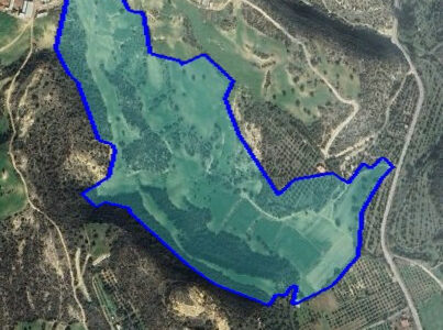For Sale: Agricultural land, Agios Theodoros, Larnaca, Cyprus FC-58455