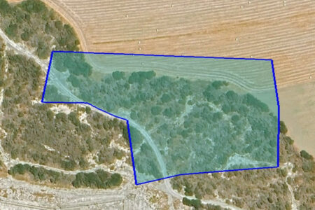 For Sale: Agricultural land, Pyrgos, Limassol, Cyprus FC-58620