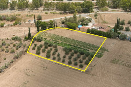For Sale: Residential land, Dali, Nicosia, Cyprus FC-59119