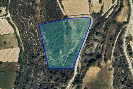 For Sale: Agricultural land, Doros, Limassol, Cyprus FC-59348