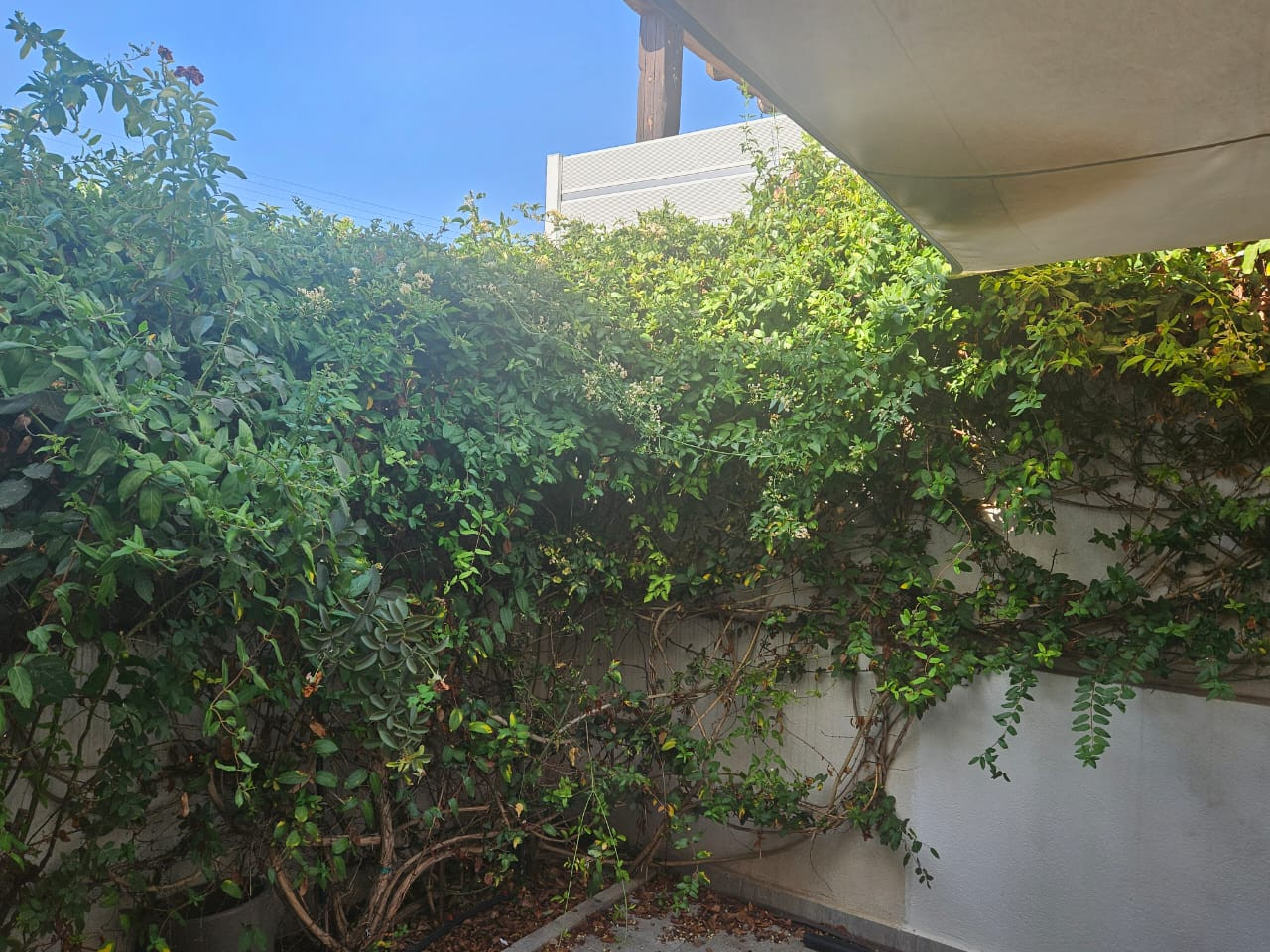 For Rent: Semi detached house, Ekali, Limassol, Cyprus FC-59534 - #5 For Rent: Semi detached house, Ekali, Limassol, Cyprus FC-59534 - #5